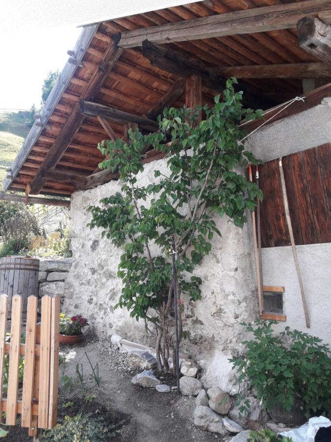 Villa Hofstatthof Campo di Trens Exterior foto