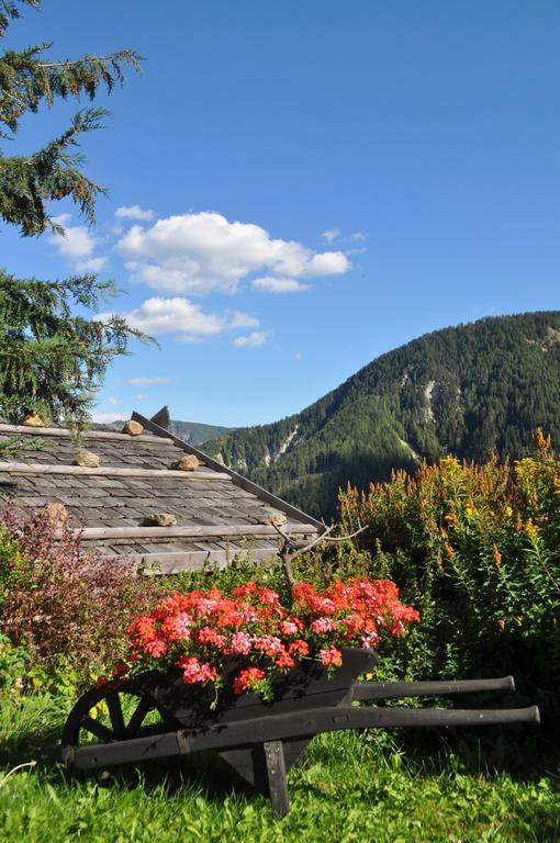 Villa Hofstatthof Campo di Trens Exterior foto